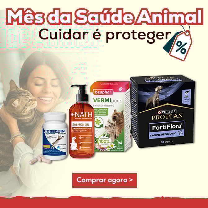 Mes de la salud dental
