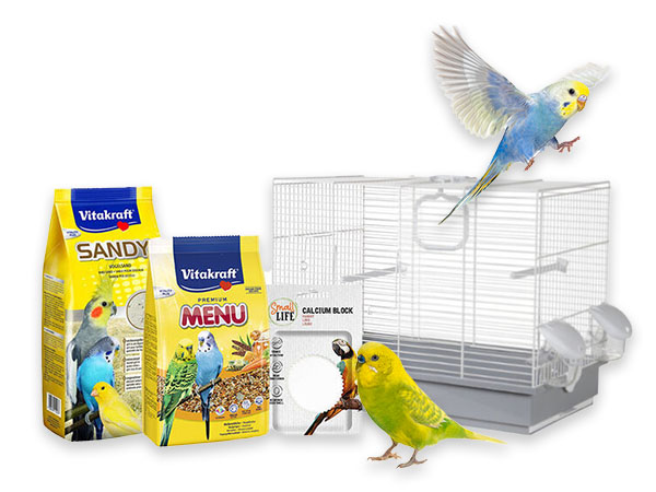 Kit Periquito