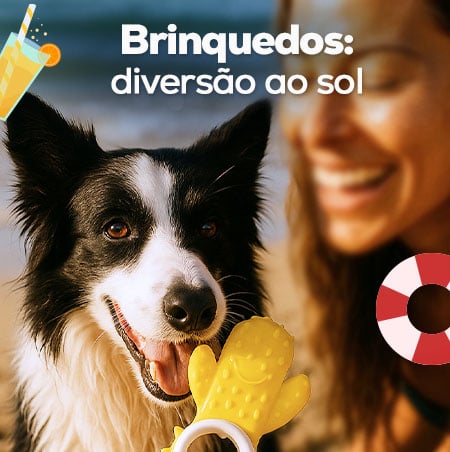 Brinquedos