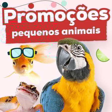Ofertas para pequenos animai
