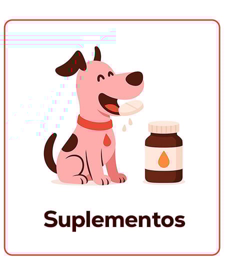 Suplementos específicos para cachorros. Saúde forte desde o primeiro dia