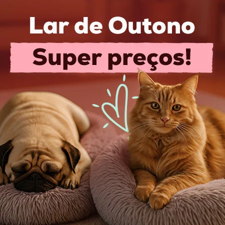 Super preços em seleção de acessórios de outono para o lar