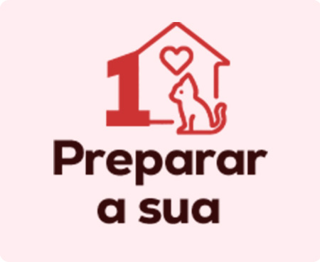 Prepare a casa para a chegada do novo gatinho