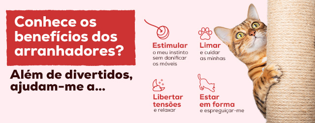 Conhece os benefñicios dos arranhadores