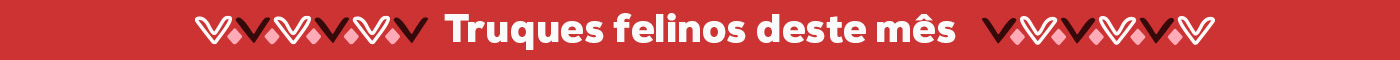 Truques felinos Truques felinos