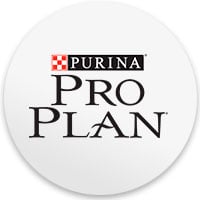 Pro Plan