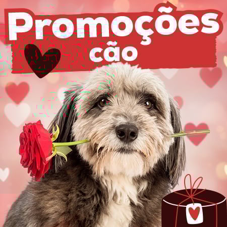 Promoções para cão