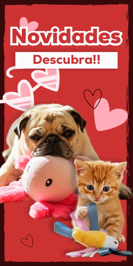 Descubra as novidades de fevereiro