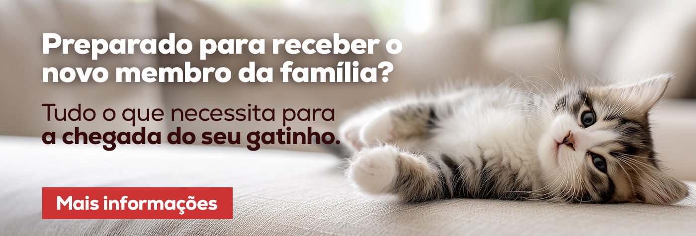 Checklist com tudo o que é necessário para os primeiros dias do gatinho