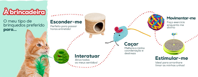 Post Blog Tipos de brinquedos para gato