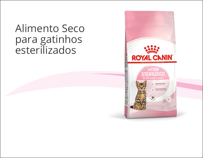 Royal Canin Kitten Sterilised ração