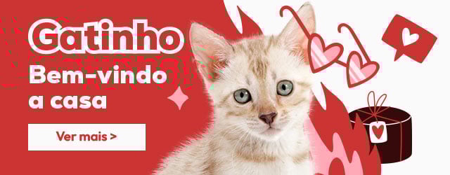 Catálogo gatinho: Tudo o que precisa para lhe dar as boas-vindas