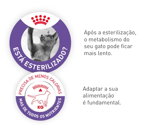 Royal Canin Esterilizado. Após a esterilização, o metabolismo do seu gato pode abrandar — adaptar a sua alimentação é fundamental.