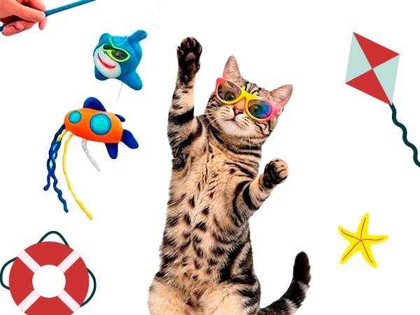 Brinquedos de verão para cães e gatos