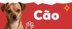Descubra as marcas mais Animal Lovers para cão
