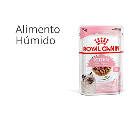 Royal Canin Kitten saqueta de alimentação húmida em gelatina