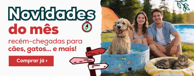Descubra as novidades do Summer Vibes e muito mais