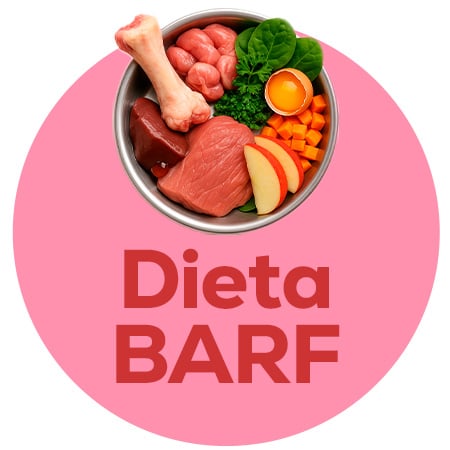 Dieta BARF. Alimentação completa para o seu cachorro