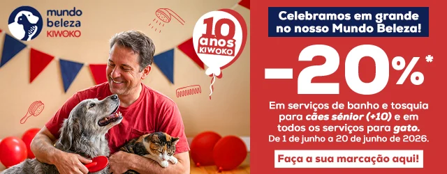Dia de aventuras