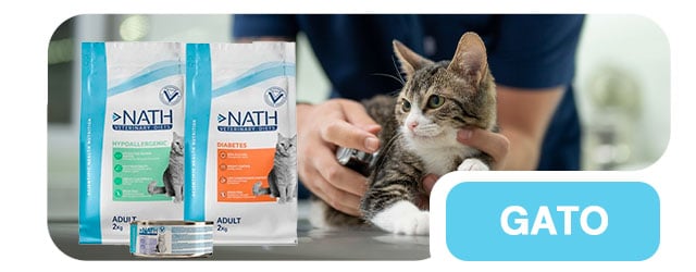 Dietas Veterinárias especializadas para a saúde do seu gato