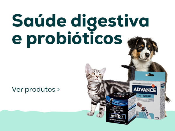 Saúde digestiva e probióticos