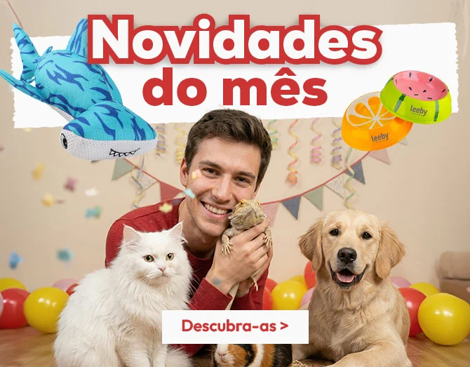 Descubra todas as novidades de janeiro