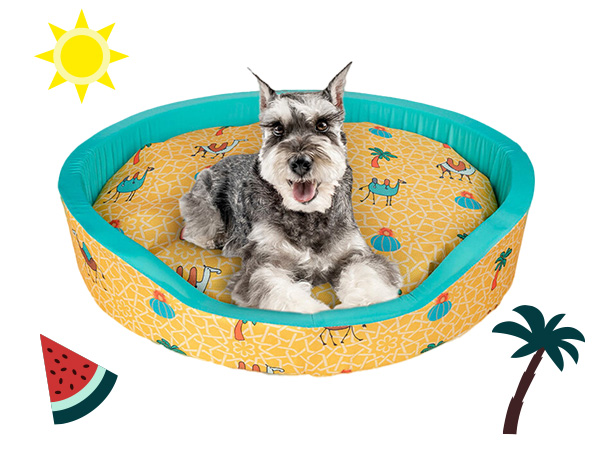 Tapetes e bandanas refrescantes para cães e gatos
