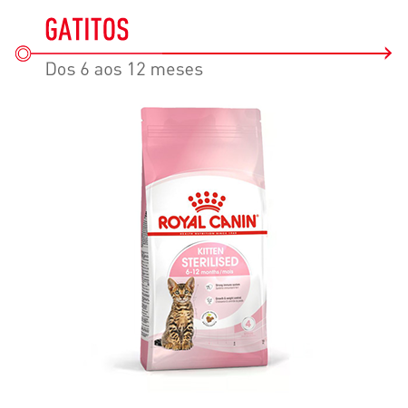 Ração para gatinhos esterilizados Royal Canin Kitten Sterilised