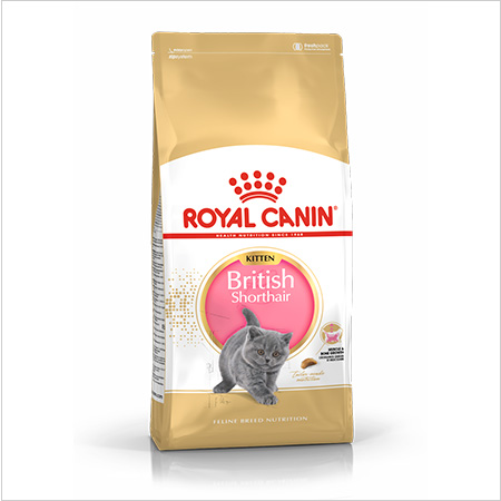 Royal Canin Kitten Maine Coon ração