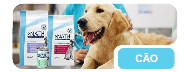 Dietas Veterinárias especializadas para a saúde do seu cão