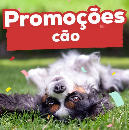 Promoções em cão