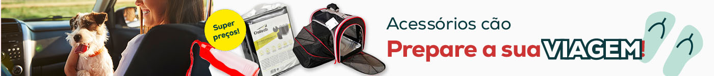 Acessórios para cães: prepare a sua viagem!