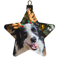 Cães
