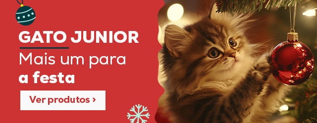 Gatito: Uno más para la fiesta navideña