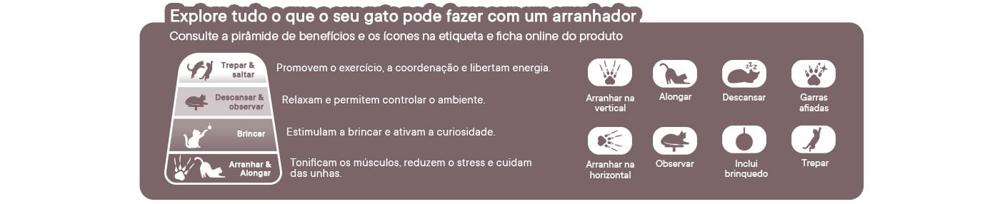 Como escolher um arranhador para o seu gato? Tipos e opções.