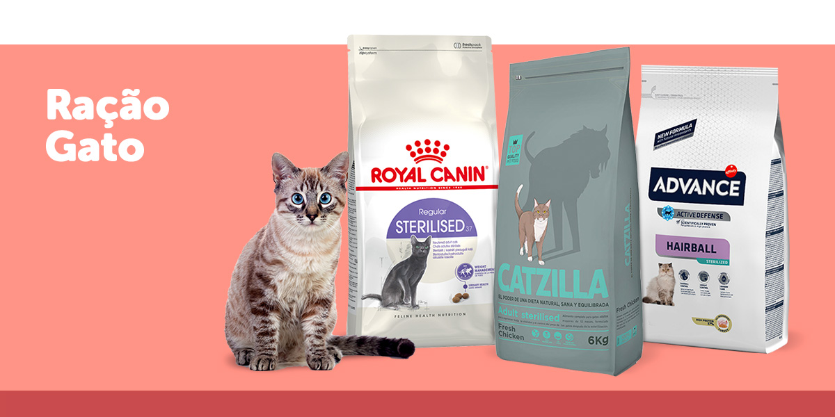 Alimentação para gato