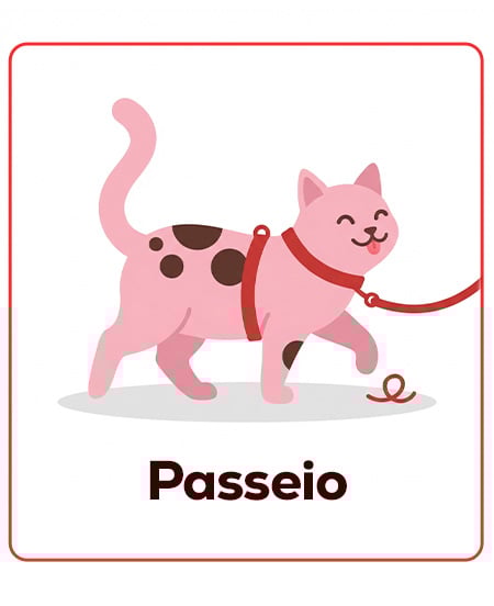 Acessórios de passeio para gatinhos