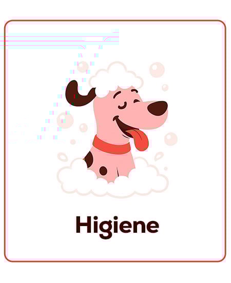 Higiene para cachorros. Limpeza, cuidados do pêlo...