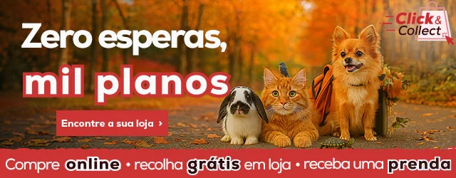 Click & Collect Click & Collect