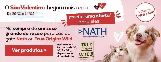 Oferta de um brinquedo em todas as encomendas