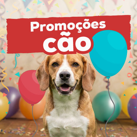 Promoções para cão