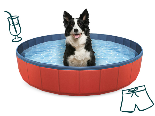 Piscinas para cães