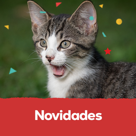 Novidades: Descubra novos produtos e as tendências para o cuidado dos patudos