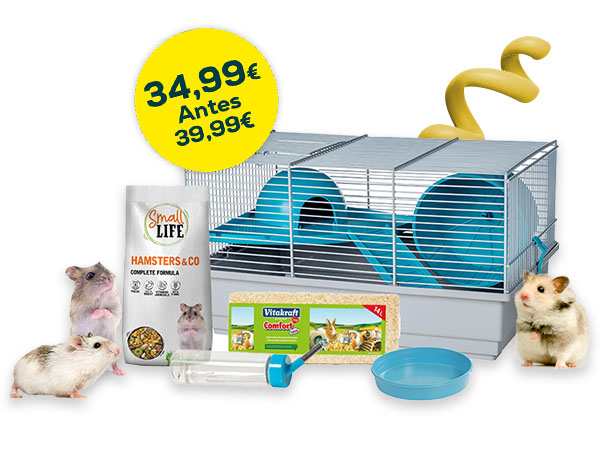 Kit Hamster