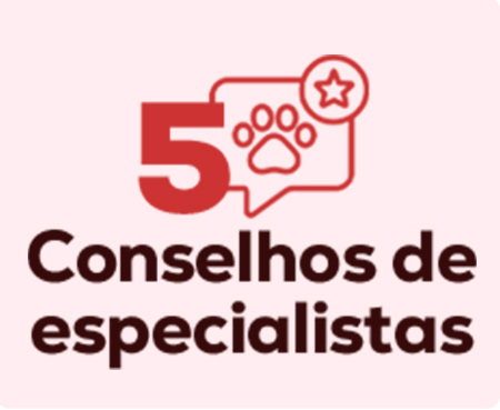 Conselhos dos nossos especialistas para a chegada e cuidados a ter com o cachorro. Post do blog