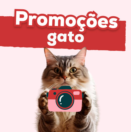 Promoções para gato