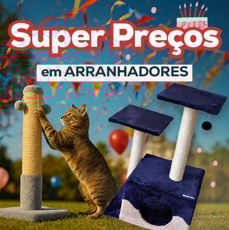 Super preços numa seleção de arranhadores