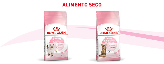 Descubra a ração que melhor se adapta ao seu gato junior.