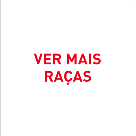 Encontre a nutrição especializada para as diferentes raças de gato.