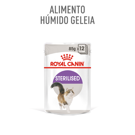 Alimentação húmida em gelatina para gato esterilizado: Royal Canin Sterilised